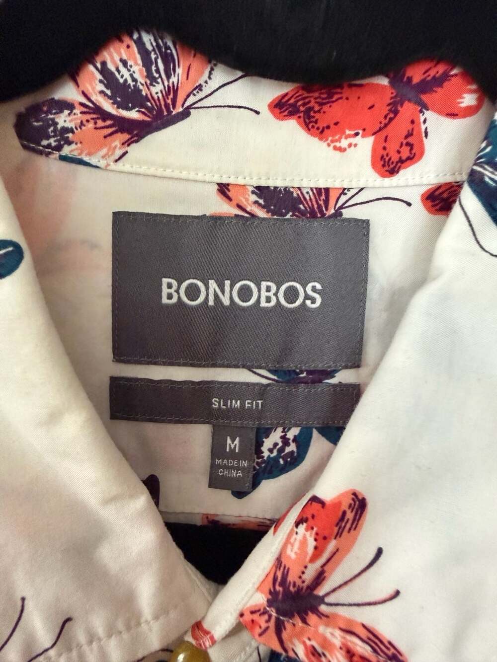 Bonobos - Picture 5 of 7